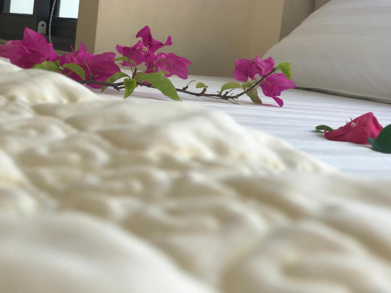 Ha Vy Hotel 吉婆岛 外观 照片