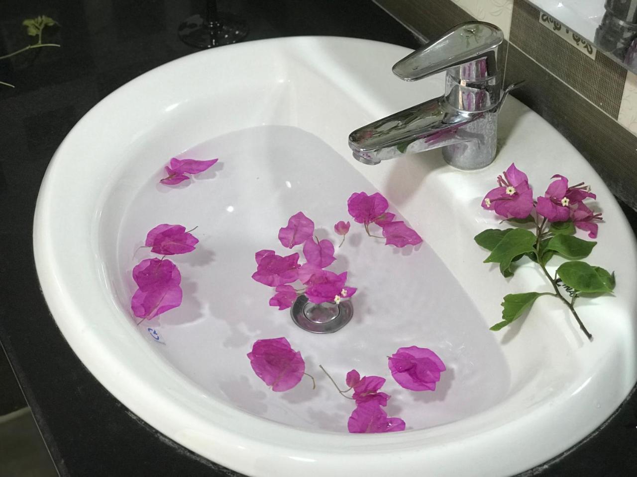 Ha Vy Hotel 吉婆岛 外观 照片